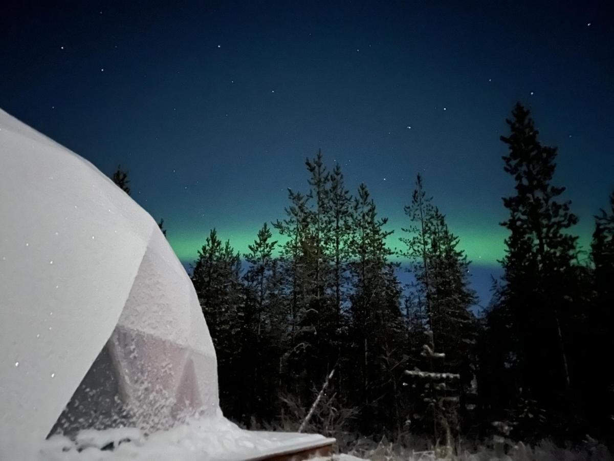 Aurora Igloo Fireplace-Heated Tents In A Secret Forest With Private Jacuzzi And Shared Sauna Bathroom And Dog Friendly Rovaniemi Kültér fotó