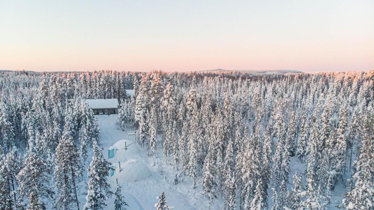 Aurora Igloo Fireplace-Heated Tents In A Secret Forest With Private Jacuzzi And Shared Sauna Bathroom And Dog Friendly Rovaniemi Kültér fotó